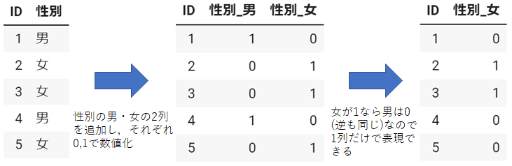 3_dummy.png