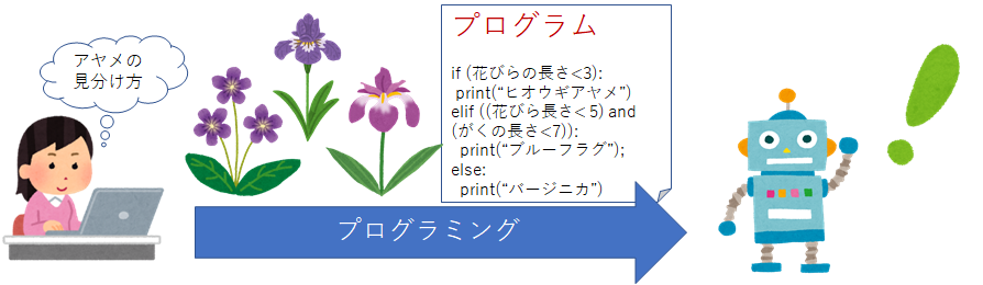 3_programming.png